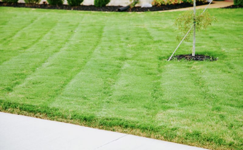 Lawn and Garden Edging