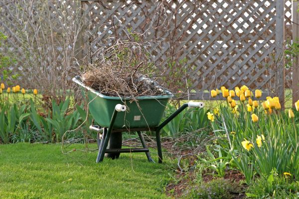 Flower Bed Cleanup Service in Grand Rapids