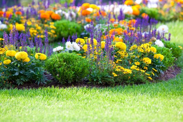 Flower Bed Maintenance in Grand Rapids