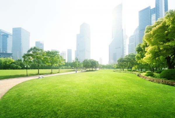 Commercial Landscape Maintenance in Grand Rapids