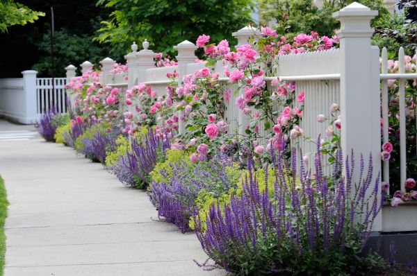 Garden Handyman Service in Grand Rapids