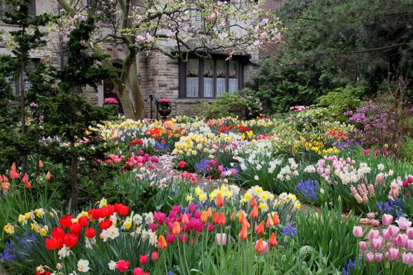 Garden Maintenance Service in Grand Rapids