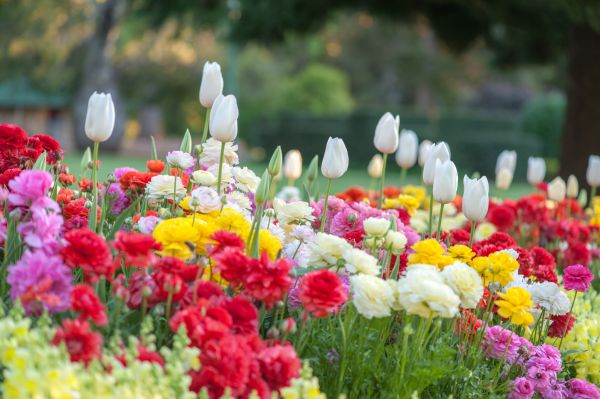 Gardening Service in Grand Rapids