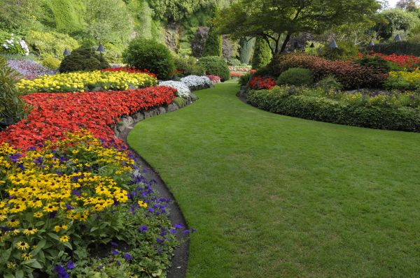 Landscaping Maintenance in Grand Rapids