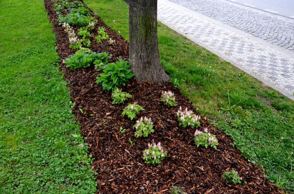 Mulch Replacement Service in Grand Rapids