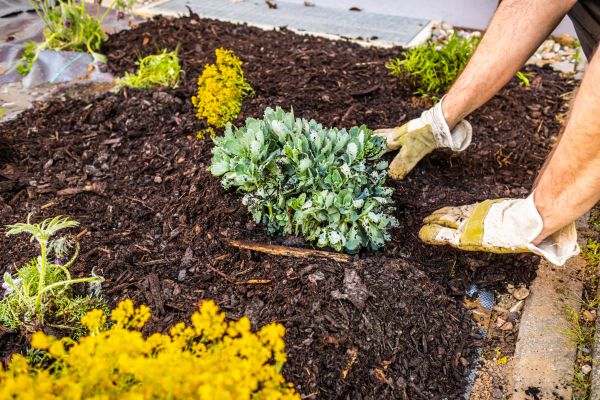 Weeding And Mulching in Grand Rapids