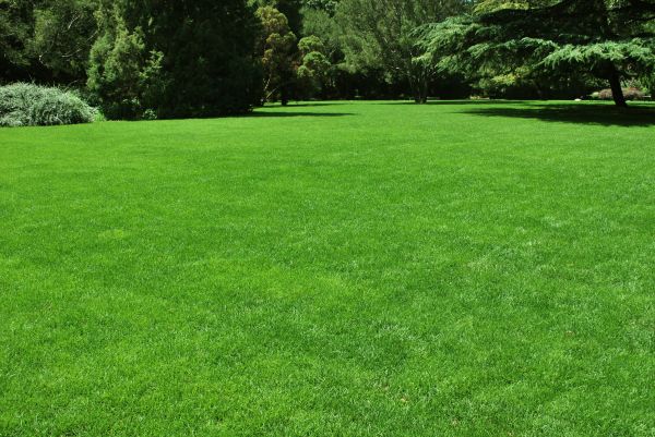 Lawn Landscaping in Grand Rapids