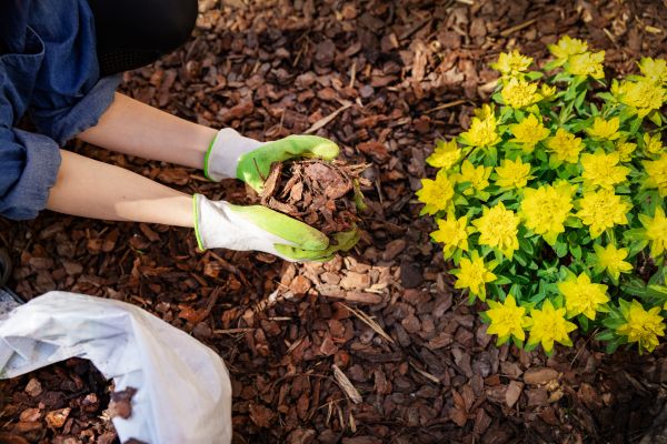 Garden Mulching in Grand Rapids