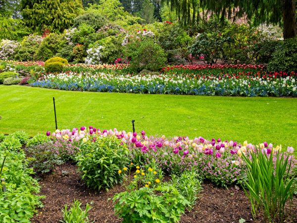 Residential Landscape Design in Grand Rapids