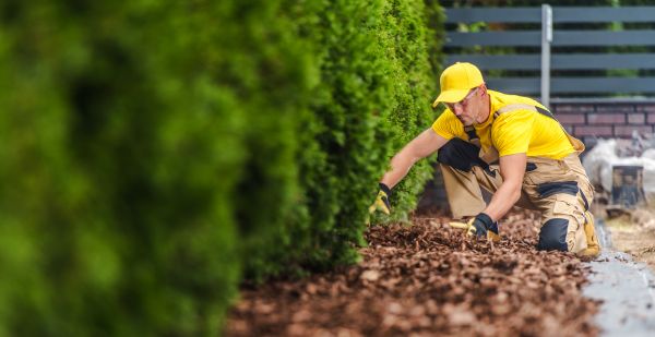 Cypress Mulch Installation in Grand Rapids