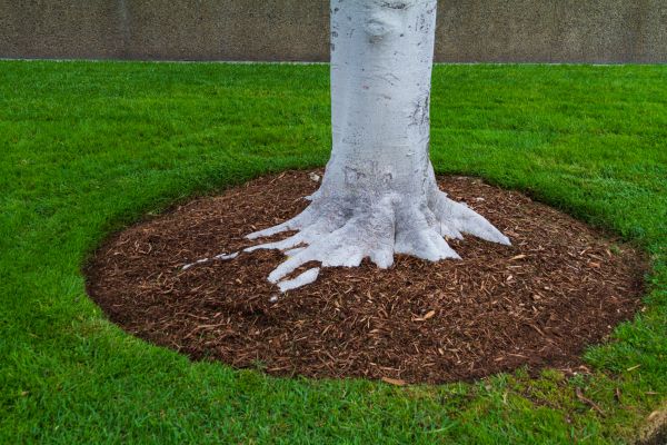 Brown Mulch Installation in Grand Rapids