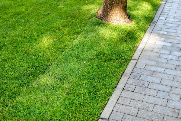 Border Stone Installation in Grand Rapids