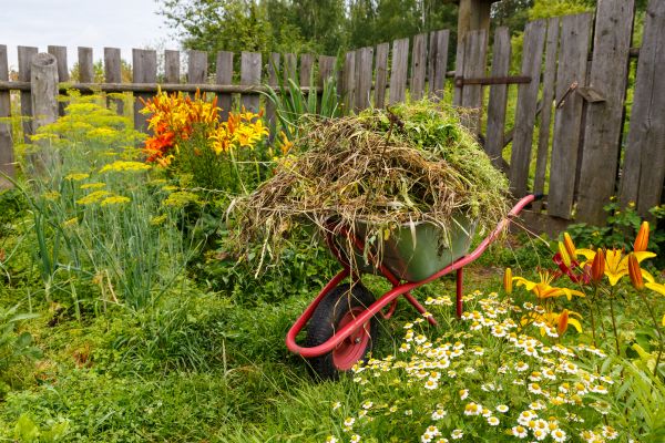 Garden Cleanup Service in Grand Rapids