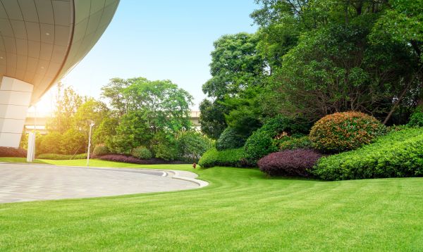 Business Landscape Design in Grand Rapids
