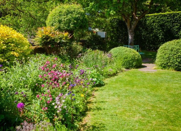 Yard Landscaping Service in Grand Rapids