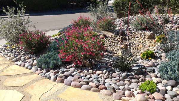 Xeriscape Landscaping in Grand Rapids