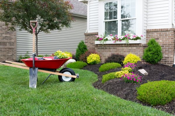 Tree And Shrub Planting in Grand Rapids