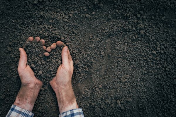 Soil Installation in Grand Rapids