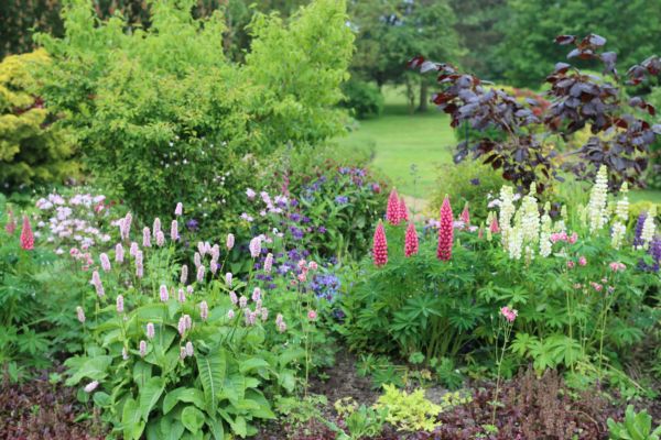 Flower Bed Planting in Grand Rapids