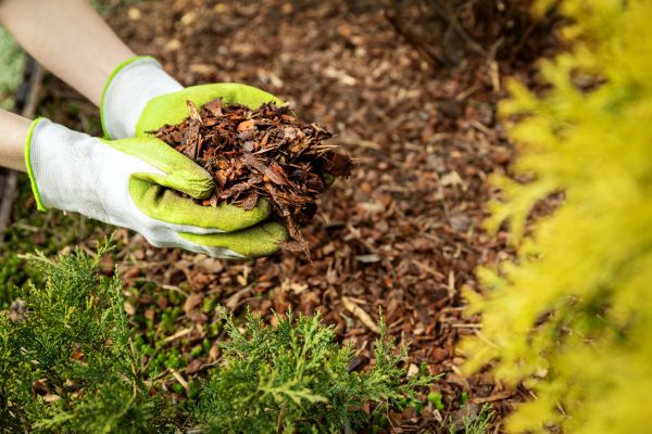 Garden Mulch Delivery in Grand Rapids