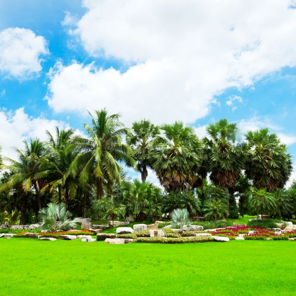 Tropical Landscaping in Grand Rapids