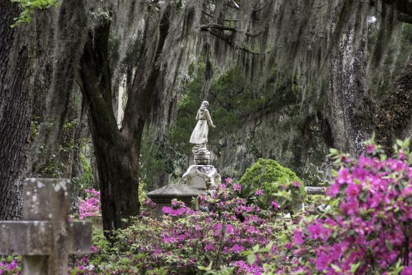 Cemetery Landscaping in Grand Rapids