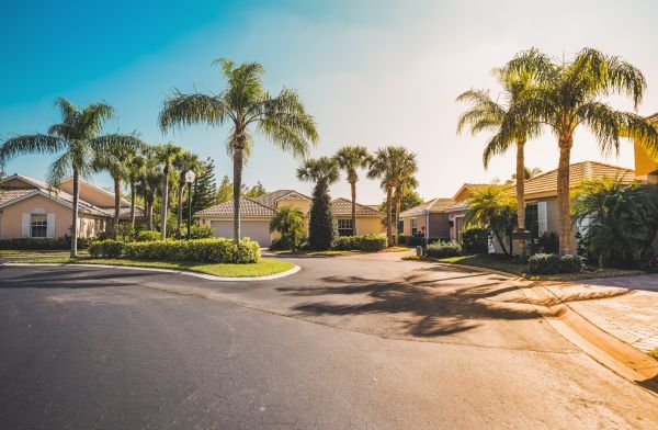 Palm Tree Landscaping in Grand Rapids