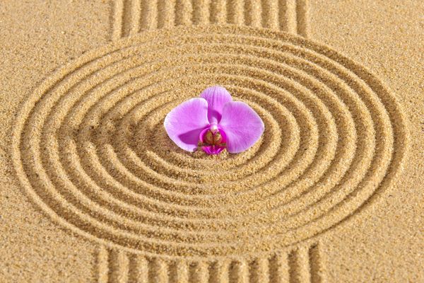 Sand Garden Landscaping in Grand Rapids