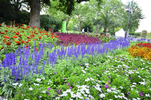 Perennials Planting in Grand Rapids