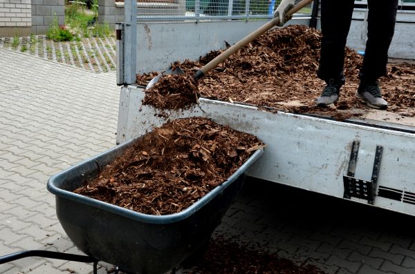 Cypress Mulch Delivery in Grand Rapids