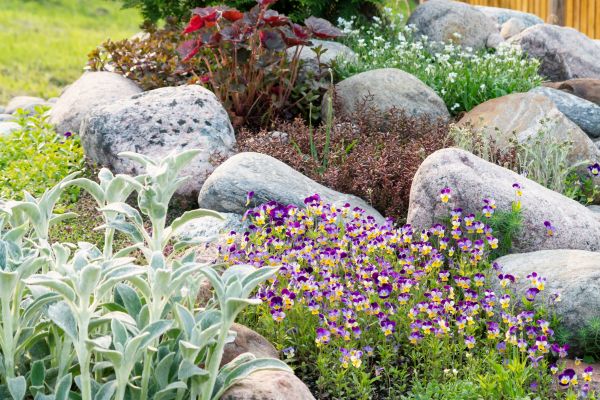 Rock Garden Installation in Grand Rapids