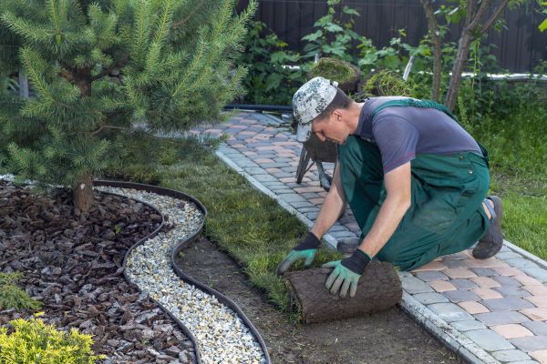 Landscaping Modification in Grand Rapids