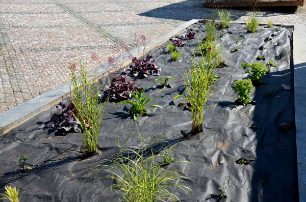 Landscape Fabric Installation in Grand Rapids