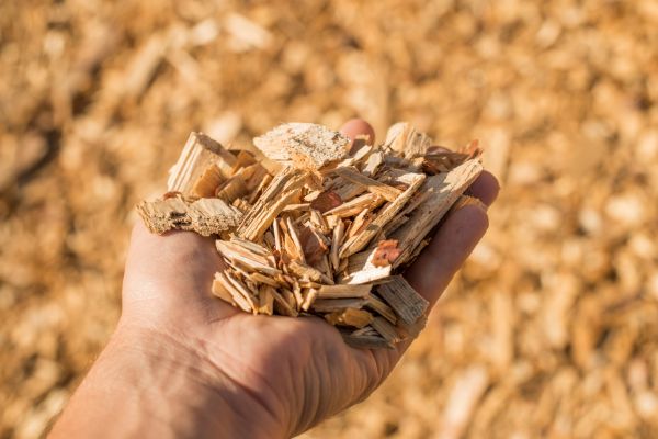 Wood Chips Spreading in Grand Rapids