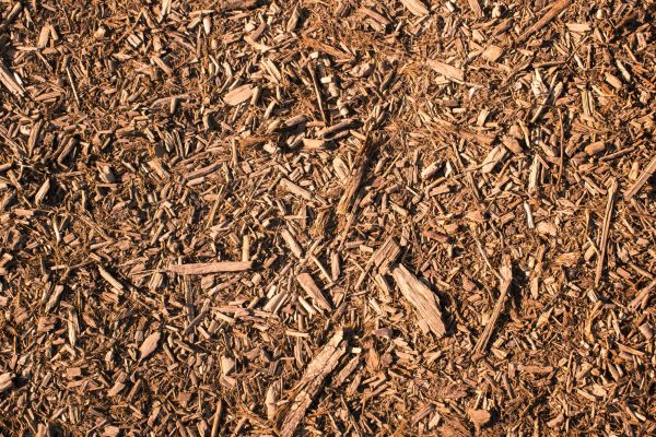 Wood Chips Removal in Grand Rapids