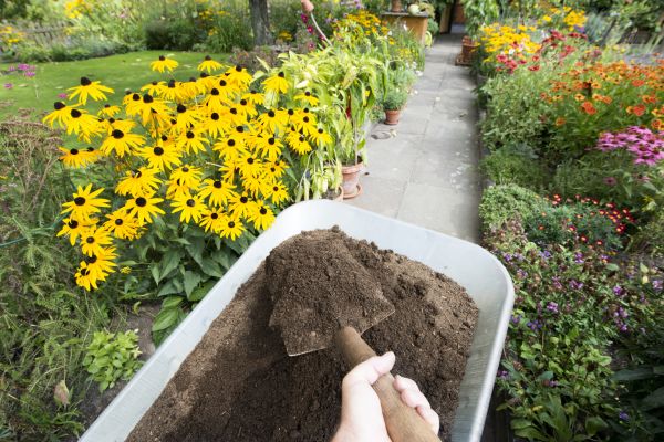 Topsoil Replacement in Grand Rapids