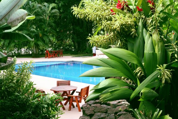 Pool Area Landscaping in Grand Rapids