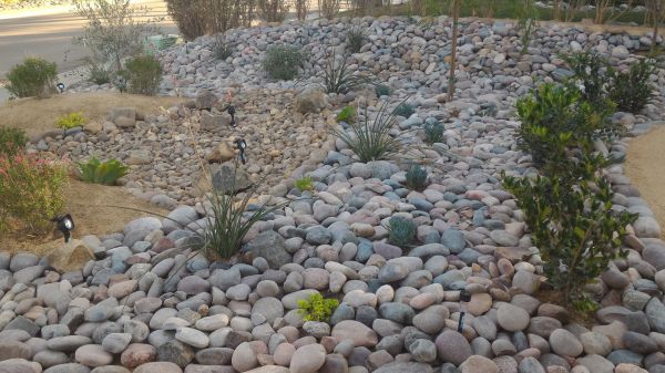 Yard Xeriscaping in Grand Rapids