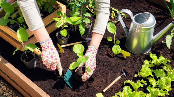 Garden Bed Installation in Grand Rapids