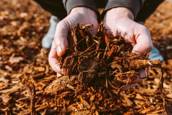 Bark Chips Delivery in Grand Rapids