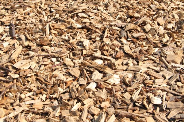 Wood Mulch Delivery in Grand Rapids