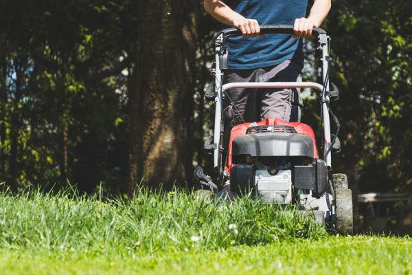 Garden Trimming Service in Grand Rapids