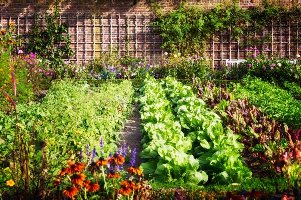 Garden Planting Service in Grand Rapids