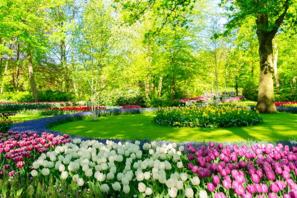 Flower Landscaping in Grand Rapids