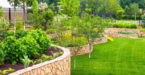Yard Makeover Service in Grand Rapids