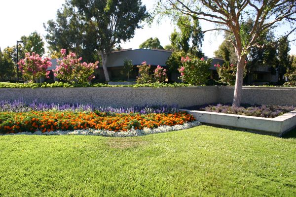 Commercial Landscape Service in Grand Rapids