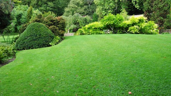 Commercial Landscape Design in Grand Rapids