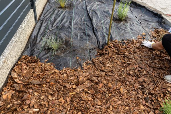 Pine Bark Spreading in Grand Rapids