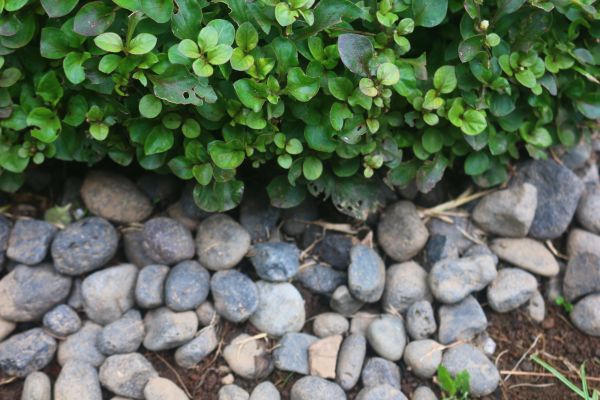 River Stone Installation in Grand Rapids