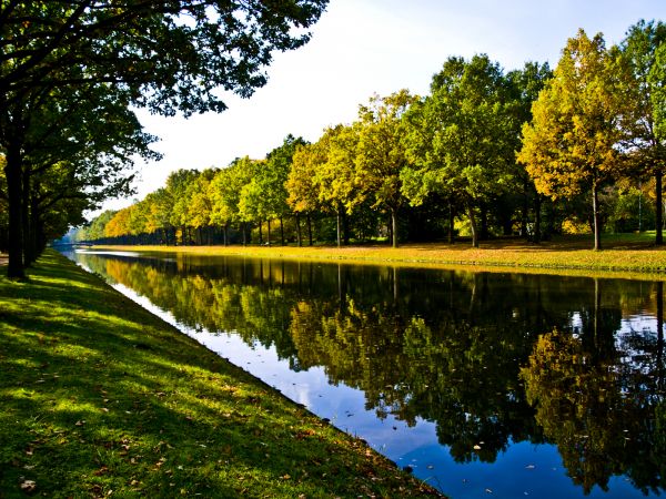 Bank Landscaping in Grand Rapids